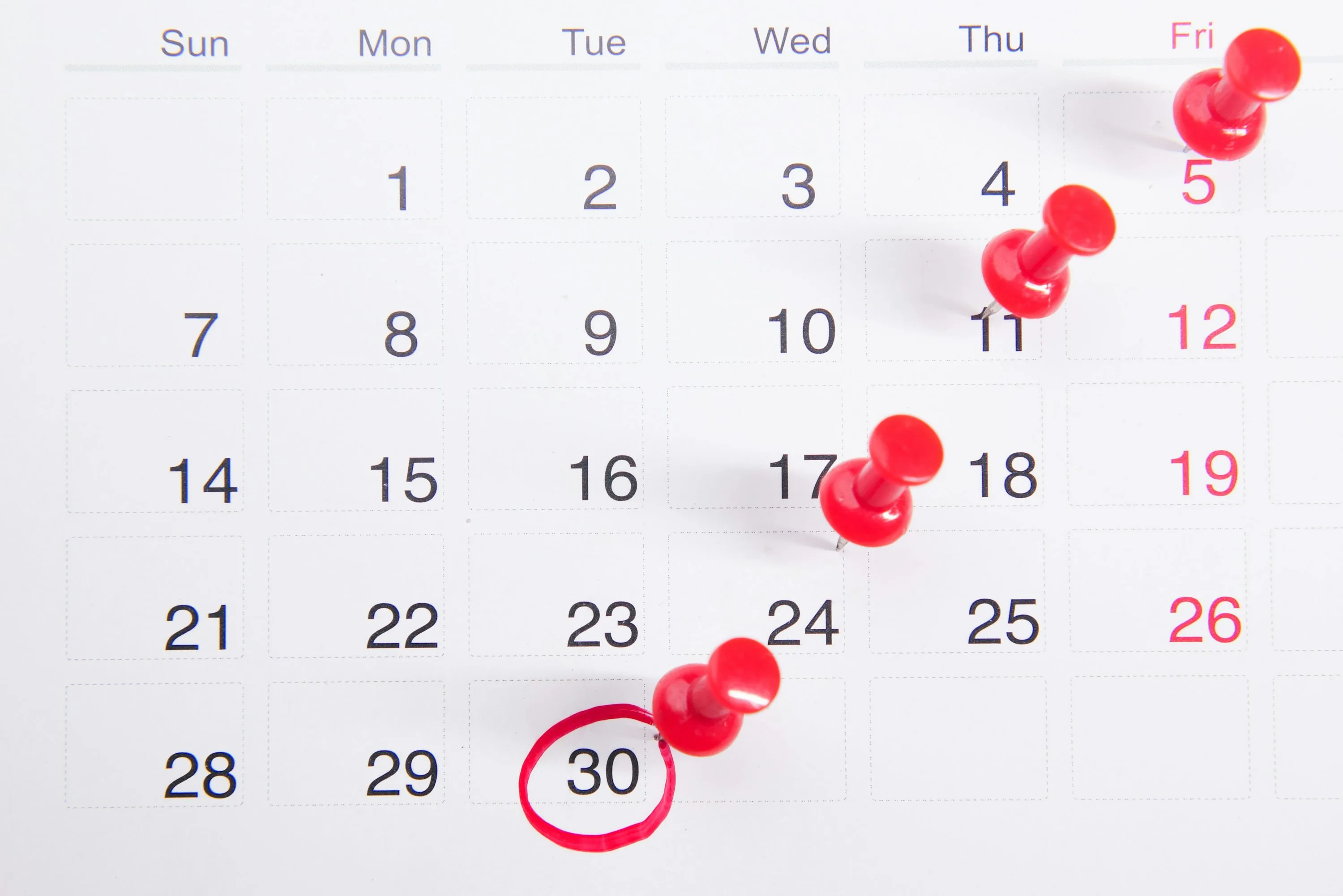 Calendar page with red pins marking booking dates for a custom scheduling system