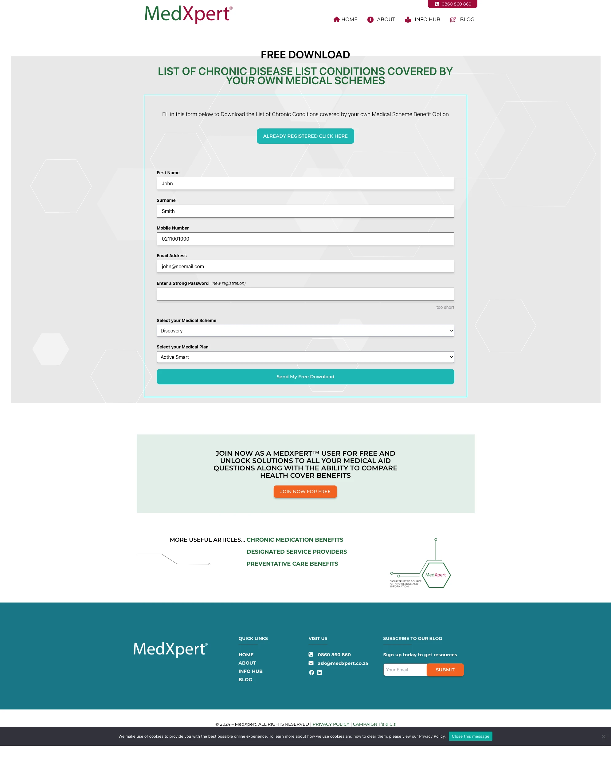 Custom SPA – WordPress screenshot 3