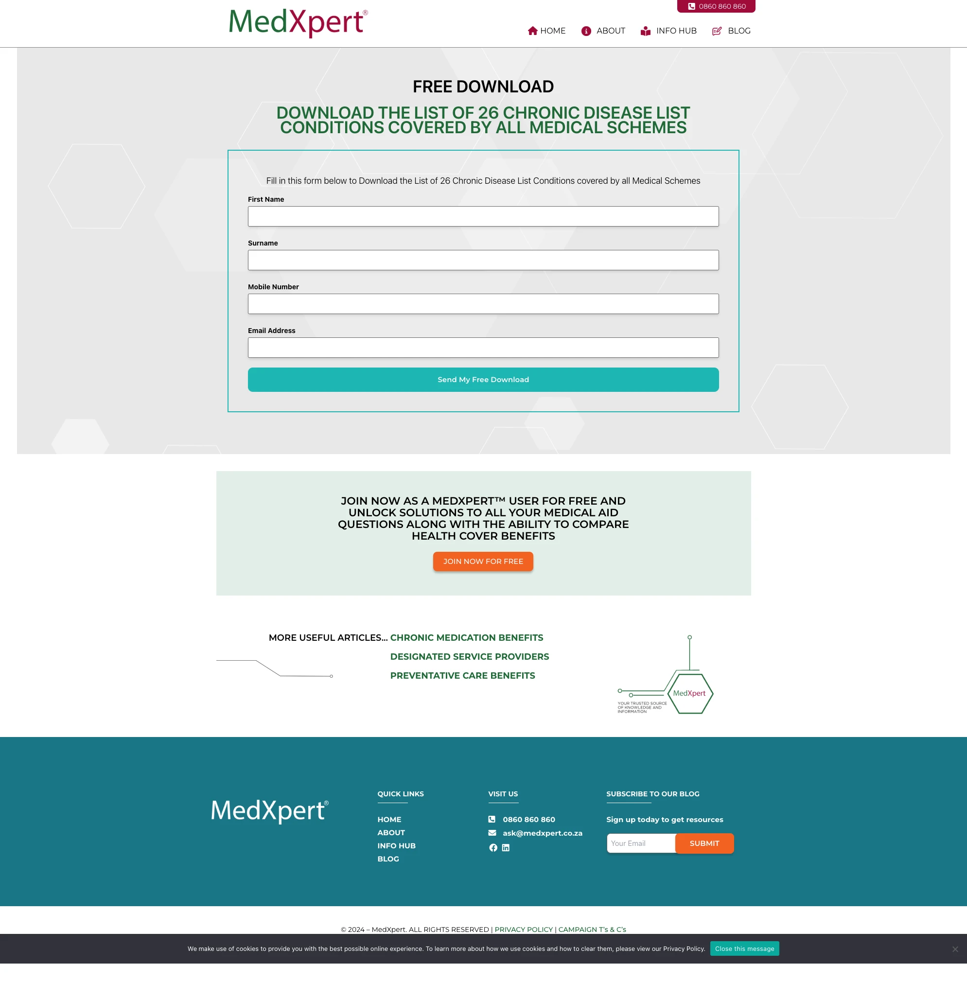 Custom SPA – WordPress screenshot 2
